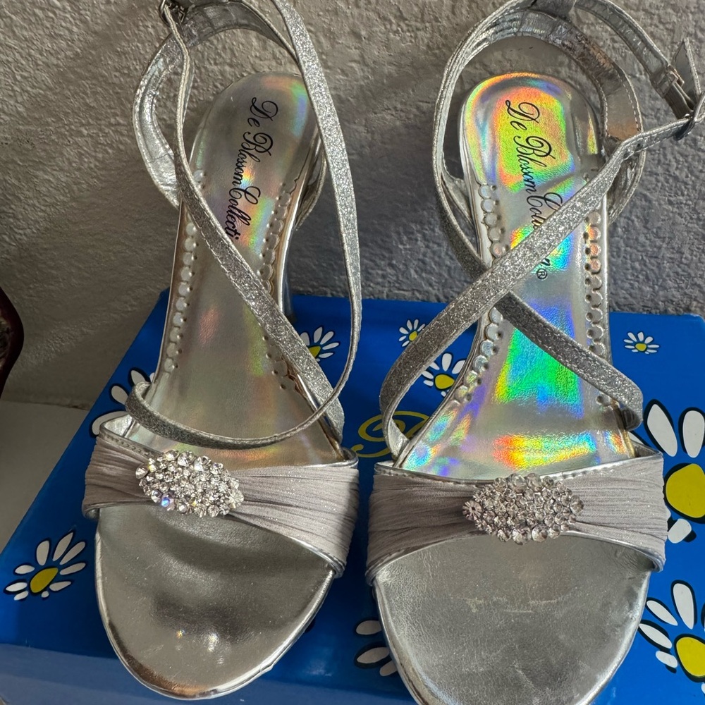 Elegant Silver Women's Dress Heels by De Blossom Collection